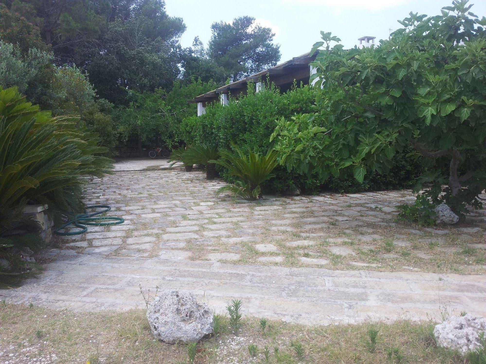 Agriturismo Vignavecchia Vignacastrisi Exterior photo
